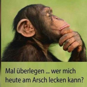 WhatsApp Image 2019-01-21 at 17.43.22.jpeg