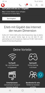 Screenshot_20190806-011454_Samsung Internet.jpg