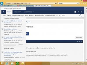 Ish Forum Bug 03.jpg