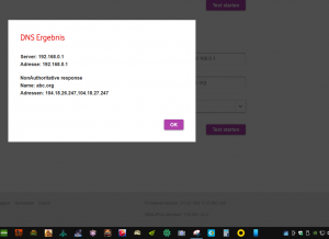 DNS Test erfolgreich.PNG